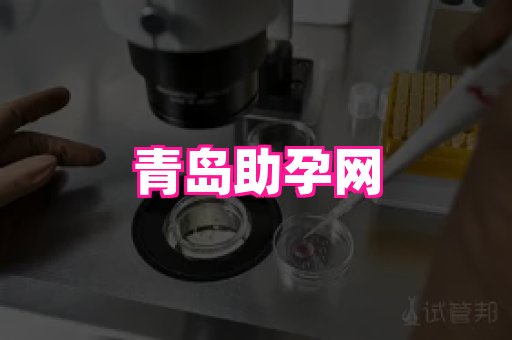 gfg孕网 4